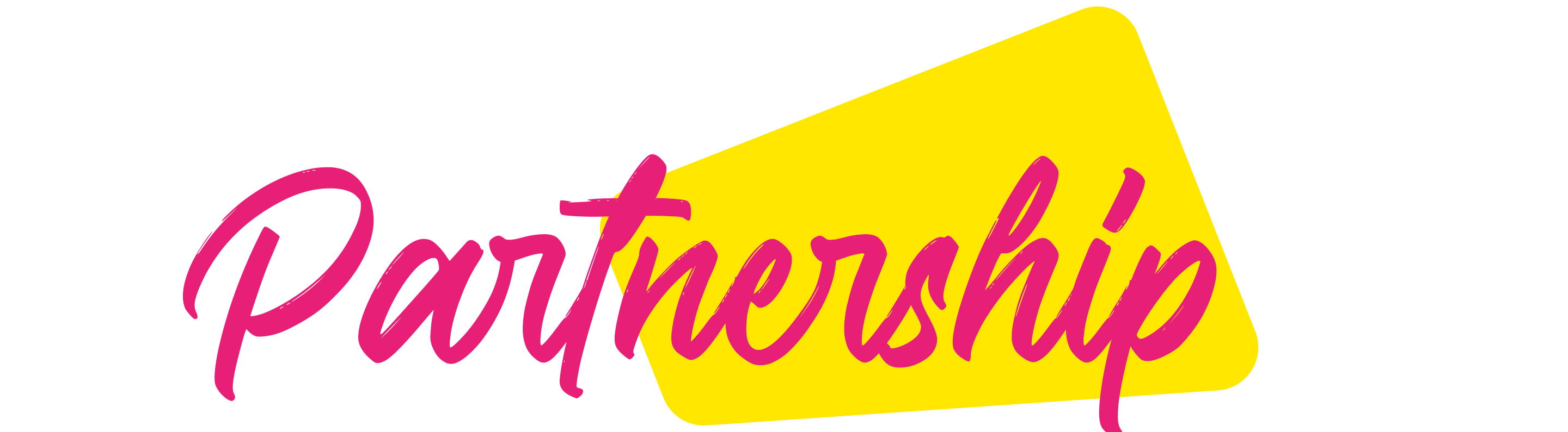 Partnership